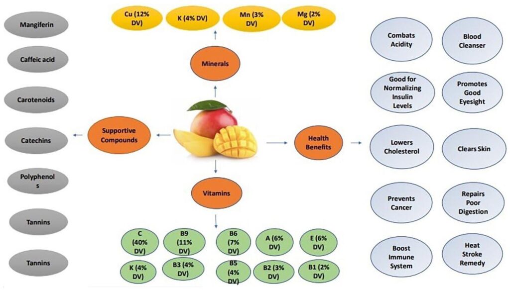 20 Amazing Health Benefits of Mango